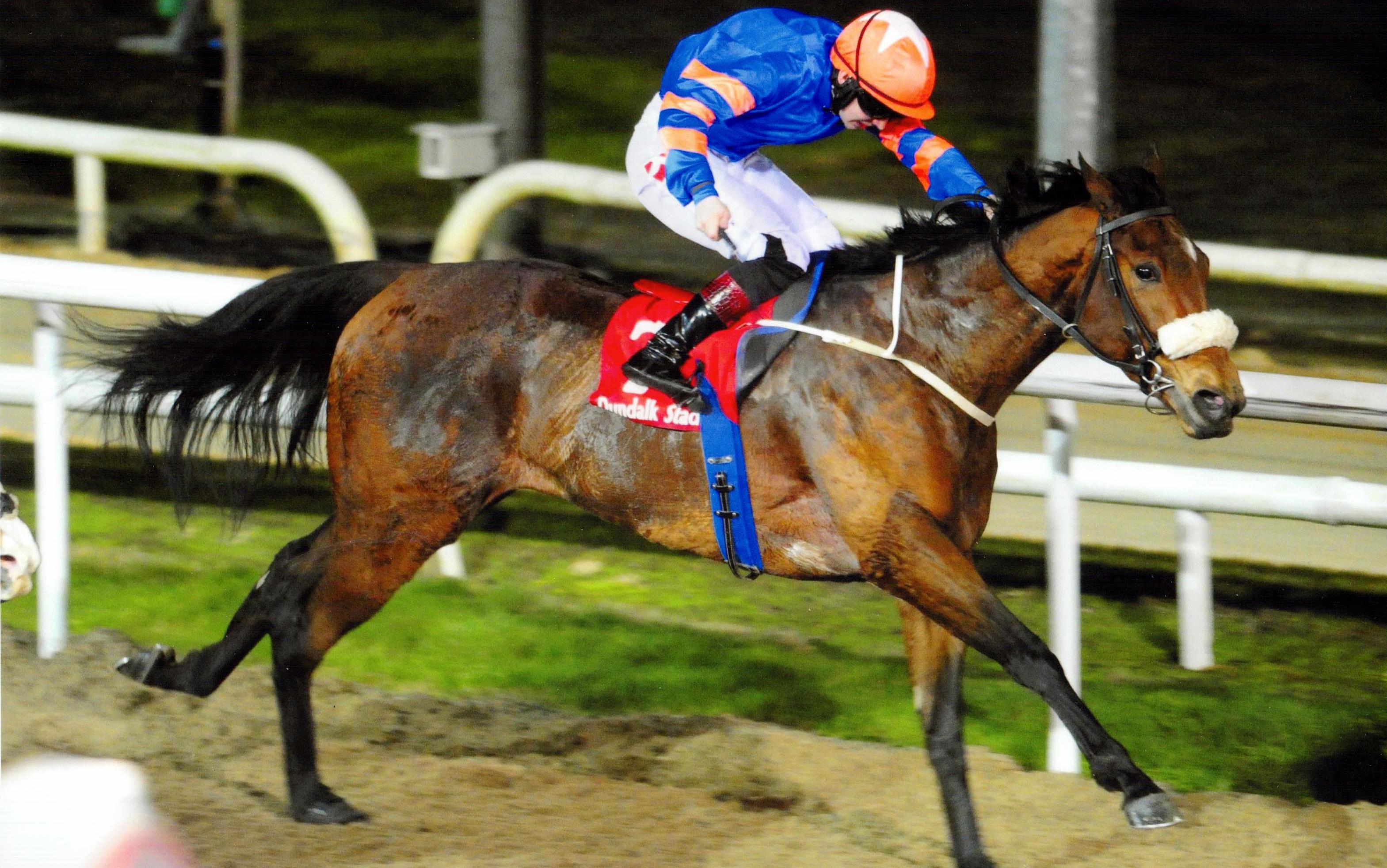 ELLARIA sheds her maiden tag at Dundalk under Colin Keane 20th January 2017